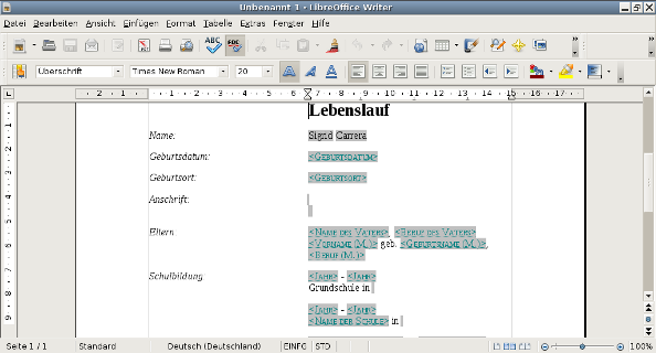 Klassischer, tabellarischer Lebenslauf