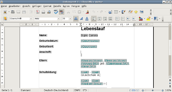 Moderner, tabellarischer Lebenslauf